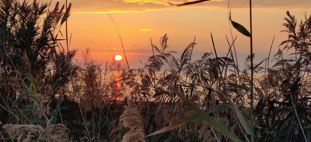 Silvia Casa Vacanze Διαμέρισμα Porto Cesareo Εξωτερικό φωτογραφία