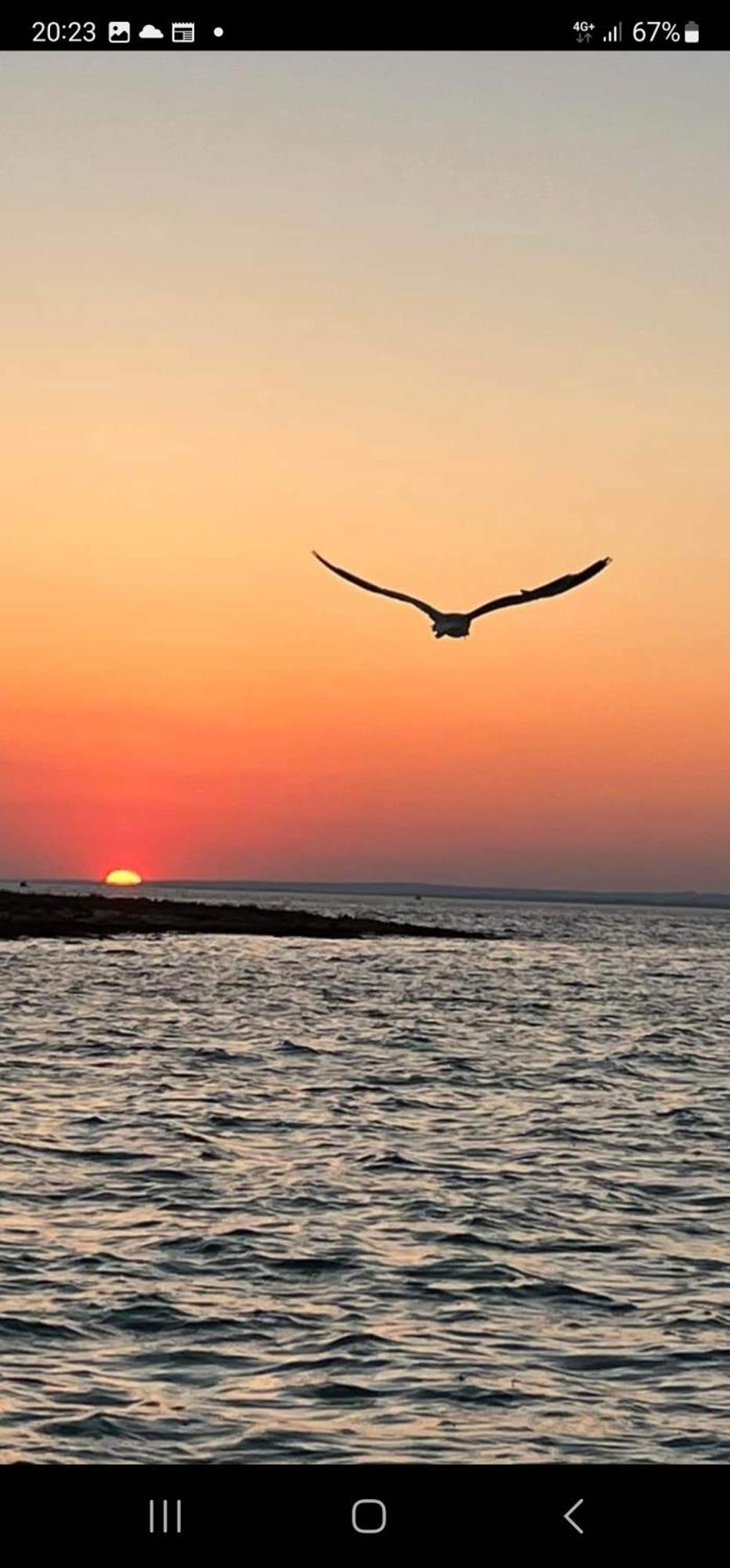 Silvia Casa Vacanze Διαμέρισμα Porto Cesareo Εξωτερικό φωτογραφία